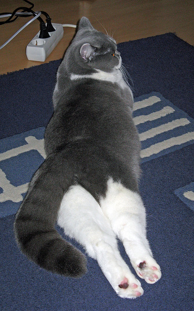 开云体育-一球封神！拉文终场绝杀如利刃出鞘，开拓者客场掀翻深圳强势破局